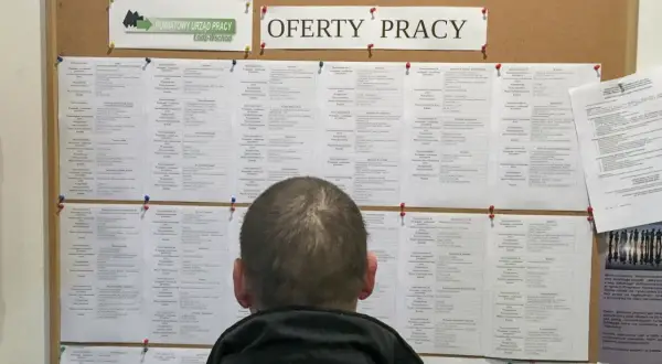 Mężczyzna przegląda tablicę z ofertami pracy w Powiatowym Urzędzie Pracy. Może szukać pracy, która zapewni mu godną kuroniówkę.
