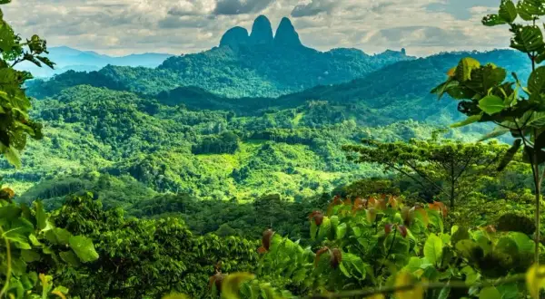 Borneo: Atrakcje, Przyroda i Planowanie Podróży - Twój Przewodnik