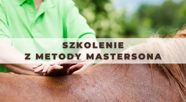Szkolenie z metody Mastersona – delikatne dotyki dla zdrowia konia.