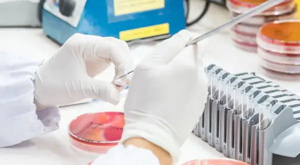 Biotechnologia medyczna co to? Odkryj jej znaczenie i zastosowania