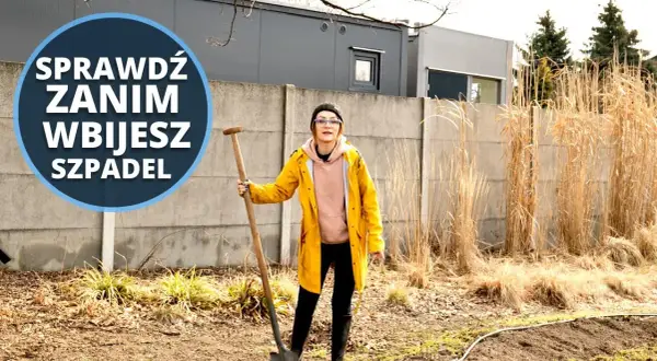 Jak zrobić warzywnik w ogrodzie i uniknąć najczęstszych błędów