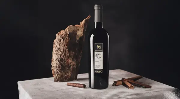 Bottiglia di vino nero di troia, con corteccia, sigaro e cannella su un tavolo di cemento.