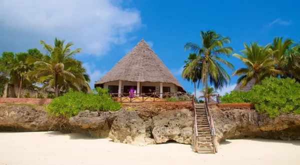 Tropikalny domek na plaży Zanzibaru. Marzysz o podróży? Sprawdź, zanzibar ile trwa lot bezpośredni.