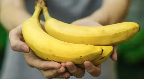 Mani che offrono due banane mature. Forse il detto "2 banane al giorno fanno male" è solo un mito?