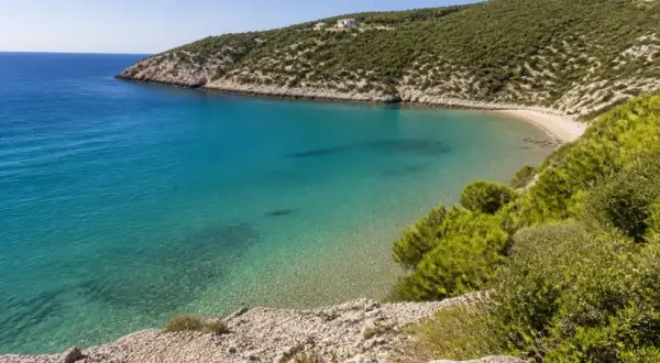 Vista dall'alto della spiaggia di Procinisco, con acque cristalline turchesi che lambiscono una sabbia dorata, incorniciata da colline verdi e rocciose.