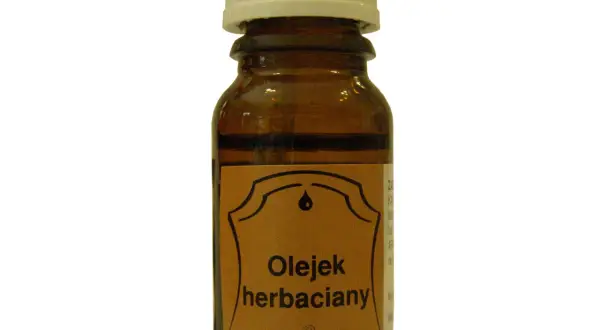 Gdzie kupie olejek herbaciany? Sprawdź najlepsze miejsca i ceny