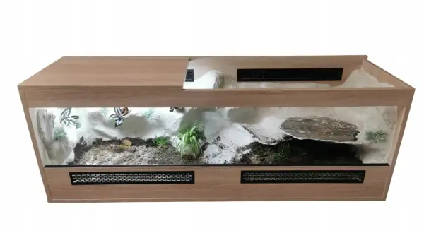 Ile kosztuje terrarium dla żółwia? Sprawdź koszty i budżet