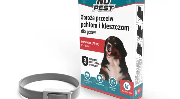 Najlepsza obroża przeciw kleszczom - skuteczność i porównania produktów