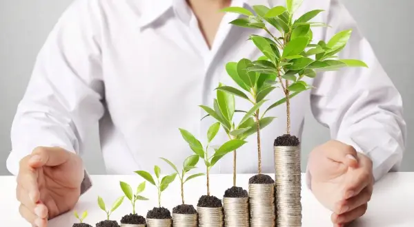 Oszczędności rosną jak drzewka na stosach monet. Dowiedz się, jak przelać pieniądze z konta oszczędnościowego na zwykłe, by Twoje finanse kwitły.
