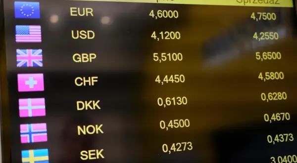 Kurs euro w Toruniu - Jakie są dzisiejsze kursy euro w kantorach?