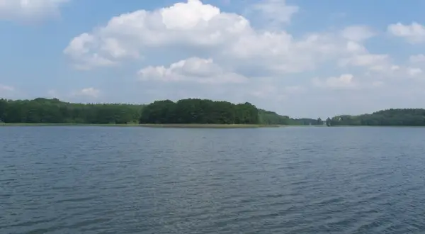 Spokojne jezioro z zielonymi lasami na horyzoncie i białymi chmurami na niebieskim niebie.