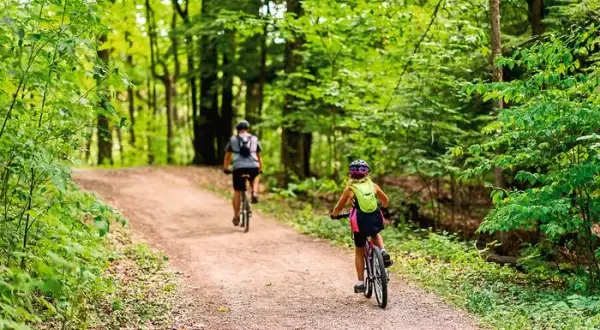 Najlepsze trasy rowerowe w Wielkopolsce - odkryj piękno regionu
