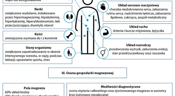 Magnez: Pierwiastek spokoju. Jak niedobór wpływa na psychikę?