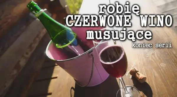 Jak zrobić wino musujące w domu - proste i zaawansowane metody