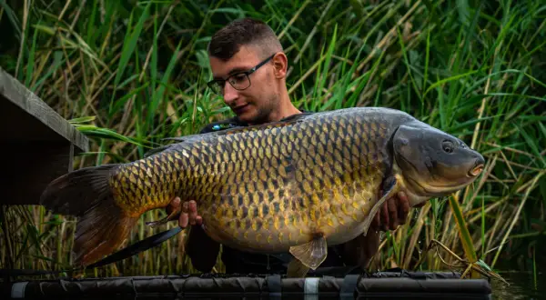 Wędkarz z Radymna prezentuje okazałego karpia złowionego na łowisku Extra Carp.