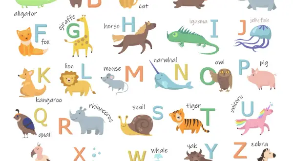 Alfabeto ilustrado con animales en inglés para niños: alligator, bear, cat, dog, elephant, fox, giraffe, horse, iguana, jelly fish, kangaroo, lion, mouse, narwhal, owl, pig, quail, rhinoceros, snail, tiger, unicorn, vulture, x-ray fish, whale, yak, zebra.