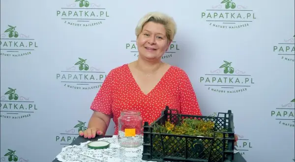 Jak zrobić olejek z dziurawca - krok po kroku i ważne wskazówki
