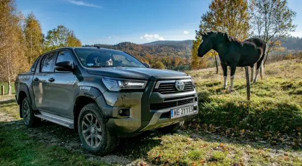 Toyota Hilux GR Sport na tle jesiennych wzgórz, obok stoi koń.