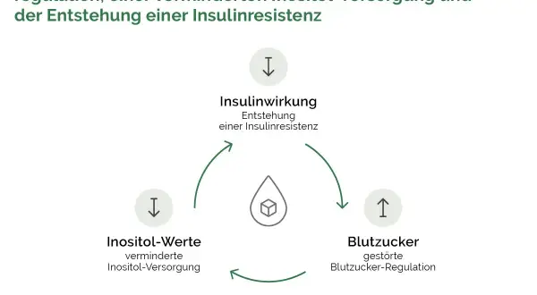 Diagramm zeigt den Kreislauf: verminderte Inositol-Werte beeinflussen die Insulinwirkung und Blutzuckerregulation, was zu Insulinresistenz führt. Die inositol wirkung ist hier zentral.