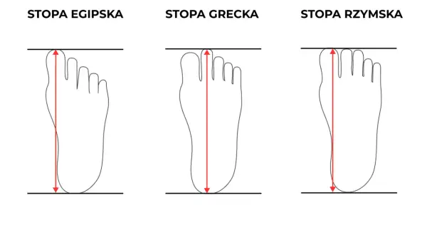 Trzy typy stóp: egipska, grecka i rzymska. Stopa rzymska ma wszystkie palce równej długości.