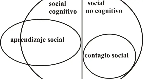 Diagrama de Venn que ilustra el aprendizaje social, dividiendo los conceptos en "social cognitivo" y "social no cognitivo", con "contagio social" como subcategoría.