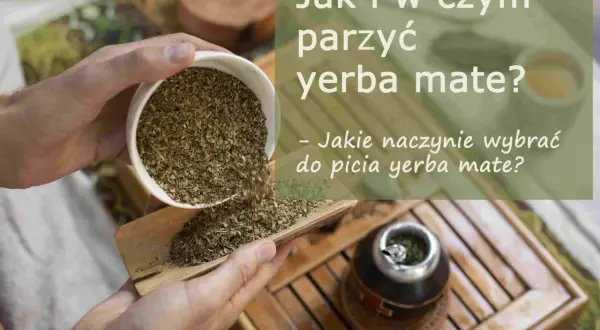 Wsypywanie suszu yerba mate, zioła leczniczego, do naczynia. Obok stoi już przygotowana tykwa z bombillą.