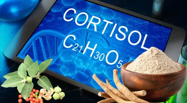 Ashwagandha i kortyzol. Na ekranie tabletka z napisem "CORTISOL", obok korzenie i proszek ashwagandhy.