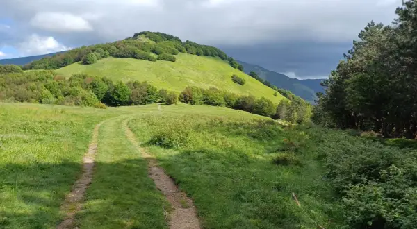 Sentiero erboso che sale verso il verdeggiante passo del Cerreto, con alberi e nuvole scure all'orizzonte.