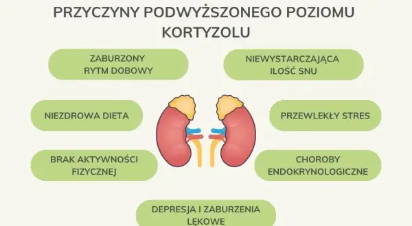 Jak obniżyć kortyzol? Sprawdzone suplementy i porady eksperta