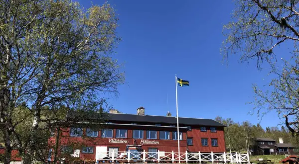STF Vålådalen fjällstation i solsken med svensk flagga. Träd med gröna blad ramar in den röda byggnaden.