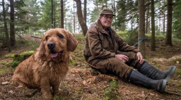 En man i skogen vilar bredvid sin trogna diabetes hund.