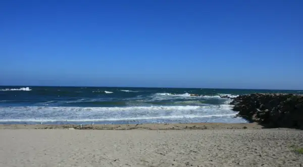 Arena dorada, mar azul y olas rompiendo en esta playa marosa. Gaviotas pasean tranquilas.