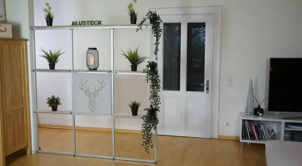 Ein Regal mit Pflanzen und Deko hilft, den Raum optisch zu trennen. Eine Tür und ein Fernseher sind im Hintergrund zu sehen.