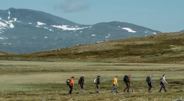 Vandring i fjällandskap med snöklädda toppar, en grupp vandrare med ryggsäckar rör sig över en gräsbevuxen slätt mot Helags Sylarna.