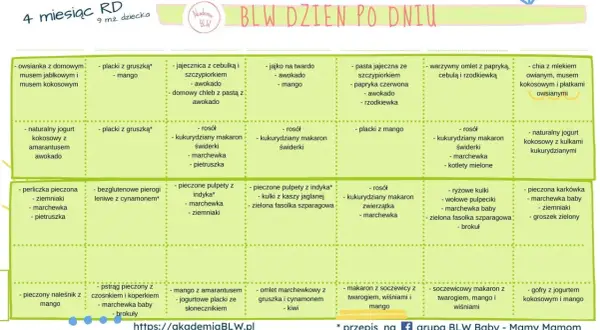 Jadłospis BLW dla 9-miesięcznego dziecka: rozszerzanie diety, ile posiłków dziennie. Propozycje dań na cały dzień.