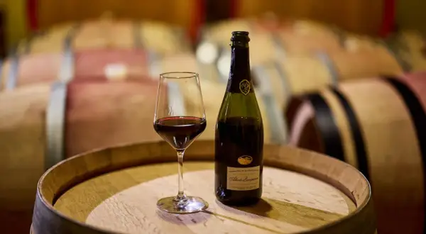 Calice di vernaccia serrapetrona e bottiglia su una botte di legno, con botti in cantina sullo sfondo.