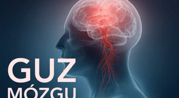 Rekonwalescencja po guzie mózgu: Ile trwa? Etapy i wsparcie