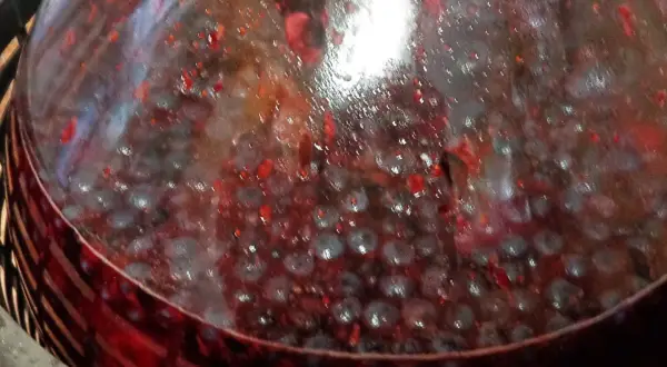 Fermentujący wino wieloowocowe przepis. Widoczne owoce i bąbelki w szkle.
