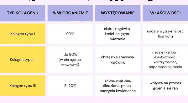 Kolagen typu I nadaje wytrzymałość tkankom, typu II elastyczność, a typu III wpływa na gojenie się ran.