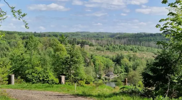 Grüne Hügel und Wälder säumen die Eckenhagen Route. Ein kleiner Teich mit einem Haus liegt eingebettet in der Landschaft.