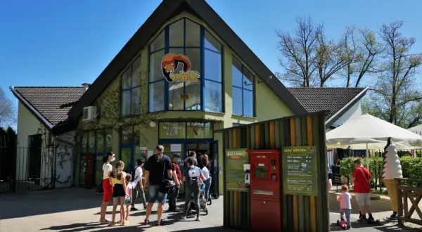 Rodzina czeka na wejście do Zoo Opole. Ile czasu na zwiedzanie? Warto zaplanować cały dzień!