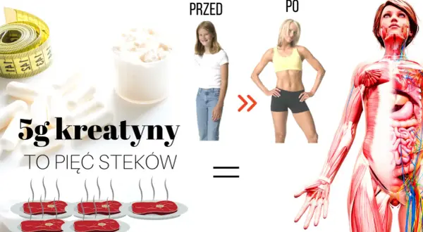 Kiedy zażywać kreatynę, aby maksymalnie zwiększyć efekty treningu?