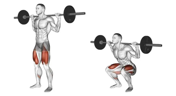 Homme effectuant un squat avec barre, montrant le squat muscle sollicité.