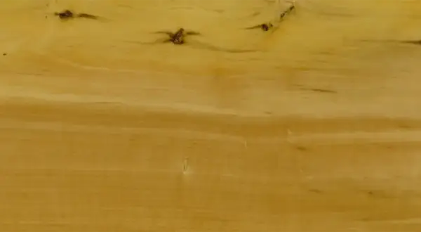 Textura de madera de boj con vetas doradas y nudos oscuros, evocando la calidez de un mueble antiguo.