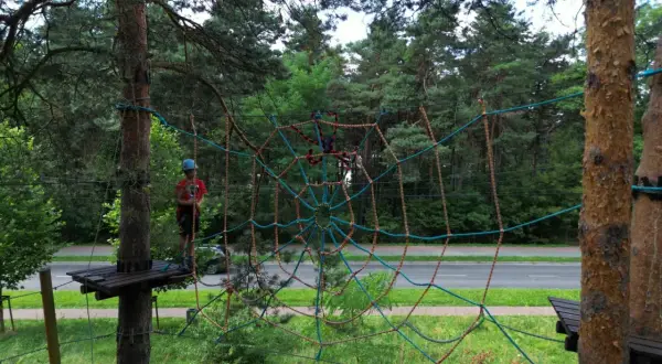 Park Linowy Jura Złoty Potok: Ceny, Trasy, Bezpieczeństwo. Idealny dla rodzin!