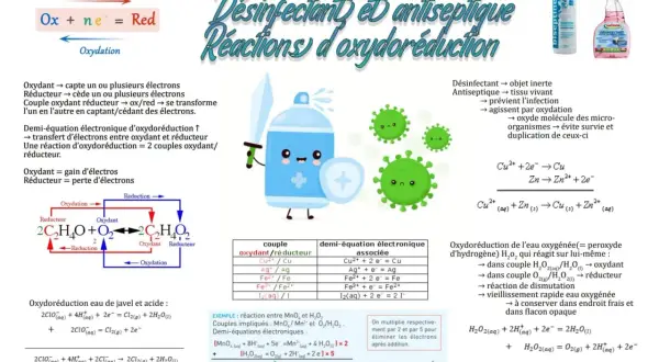 Schéma expliquant les réactions d'oxydoréduction, le potentiel redox de l'eau et des exemples de désinfectants.