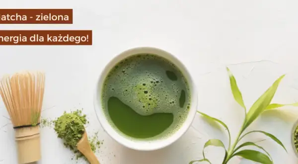 Na co dobra jest matcha? Odkryj jej niezwykłe korzyści zdrowotne