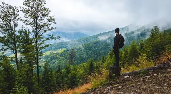 Mężczyzna z plecakiem podziwia widok na górzysty, zalesiony krajobraz podczas **hiking a trekking**. Mgła spowija szczyty.