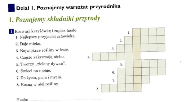 Wino jak drzewo – odkryj tajemnice krzyżówek i odpowiedzi
