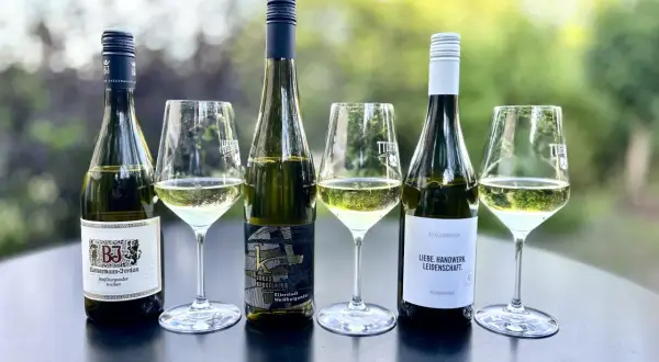 Verkostung von Weißburgunder: Ein Vergleich zwischen verschiedenen Weingütern. Der Unterschied zwischen Riesling und Chardonnay ist hier nicht direkt ersichtlich, aber die Vielfalt des Weißburgunders wird gezeigt.